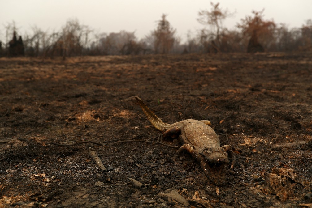 Foto: Amanda Perobelli/Reuters