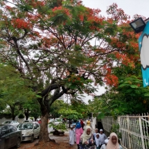 Religiosidade nas ruas de Maputo