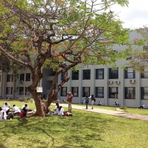 Campus Universitário Principal UEM