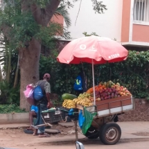 Vendedor de frutas