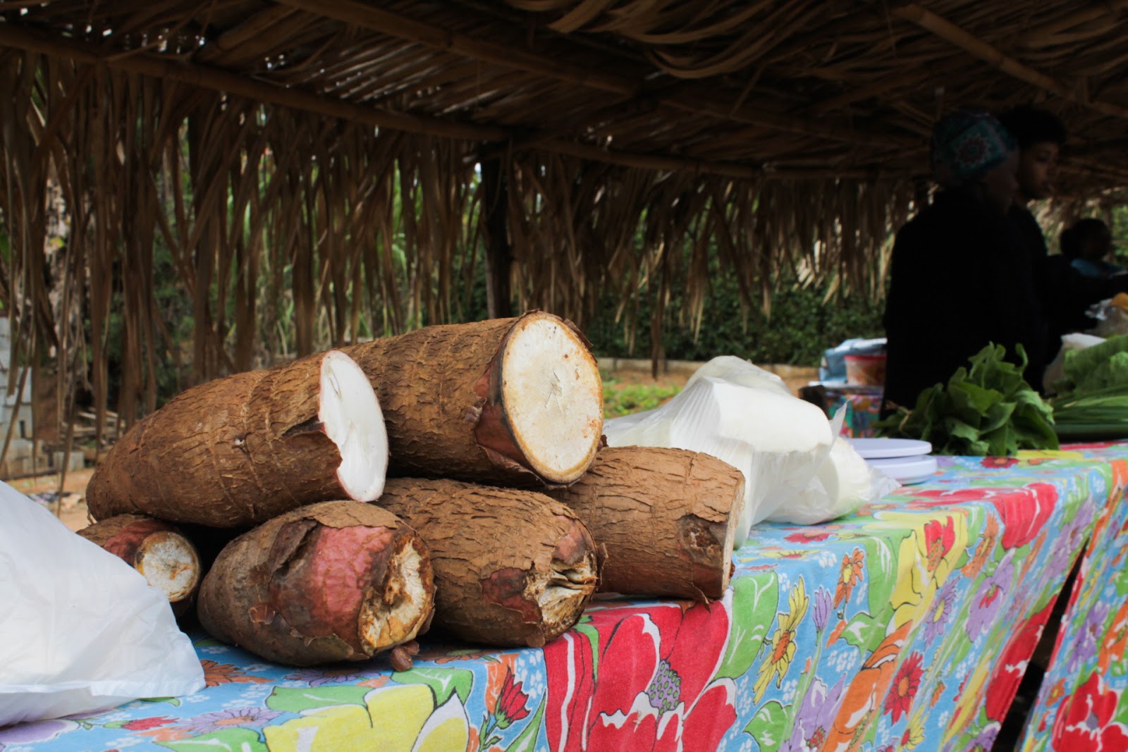 Agroecologia Solidária: conheça a história de mulheres quilombolas de Viçosa