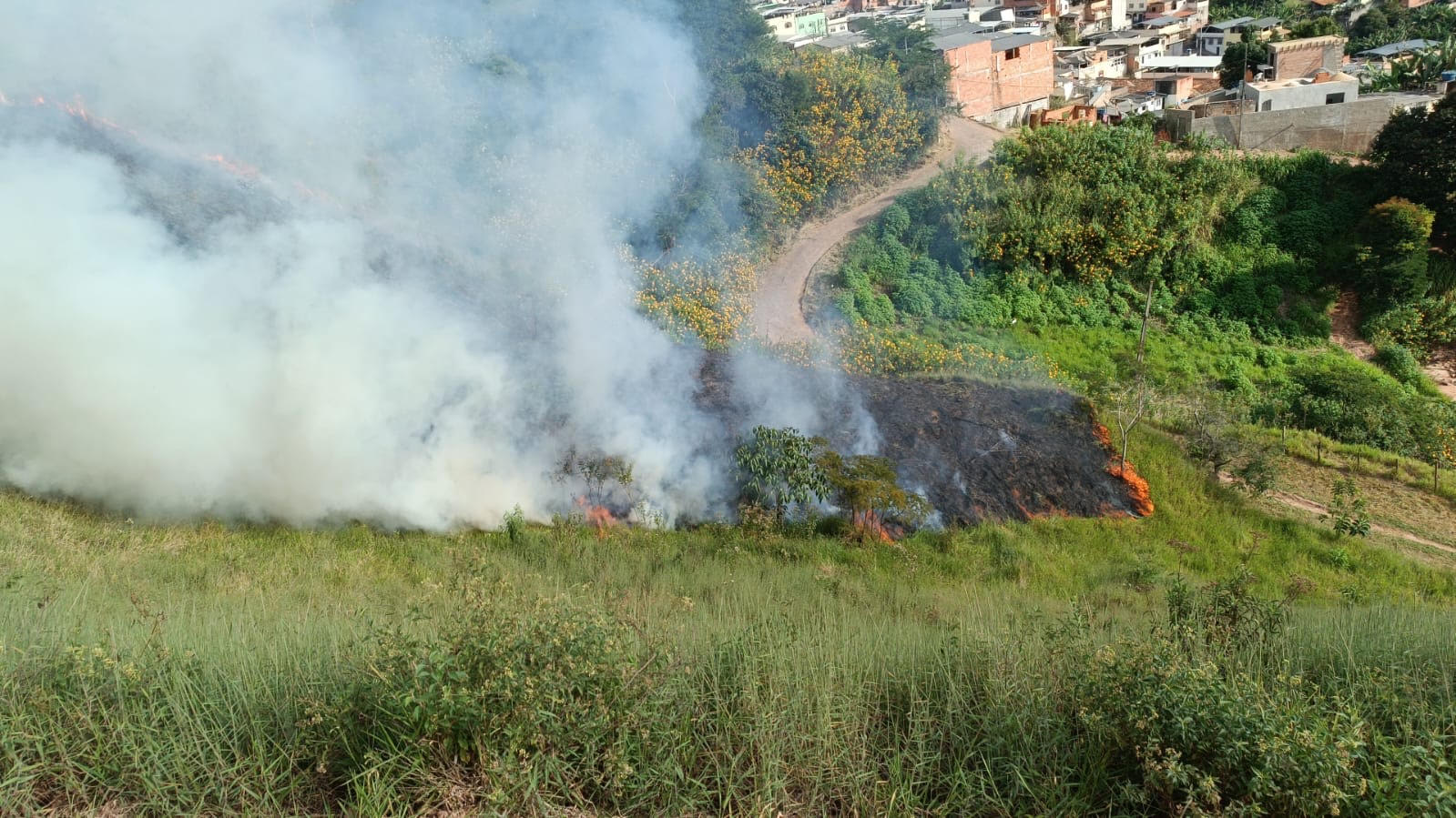 Incêndio no Parque do Cristo: natural ou criminoso?