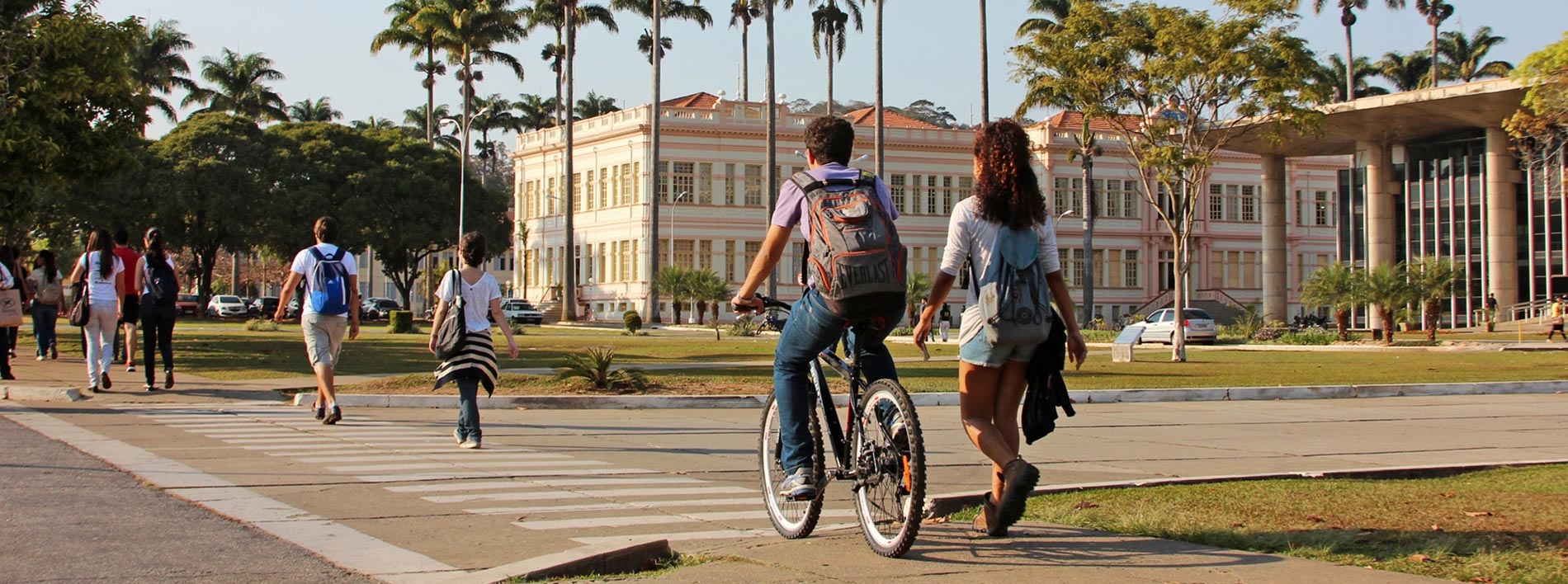 Administração tem maior taxa de desistência entre os cursos da UFV